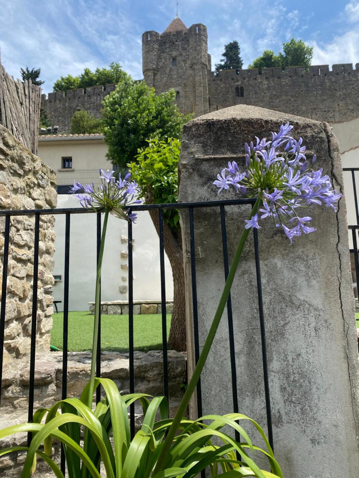 La Maison De La Tour Pinte Carcassonne Dış mekan fotoğraf